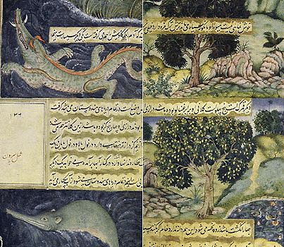 File:Illustrations from Babur-namah 1.jpg