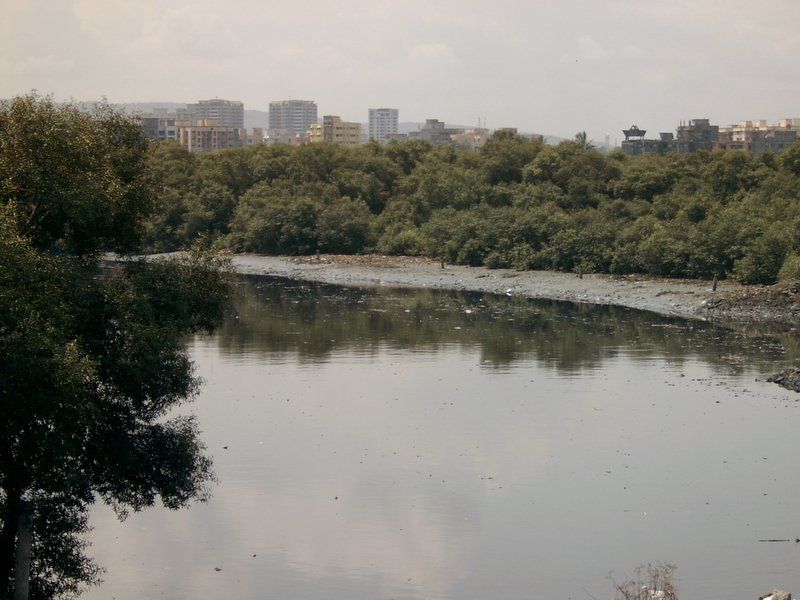 File:Mahim creek.jpg