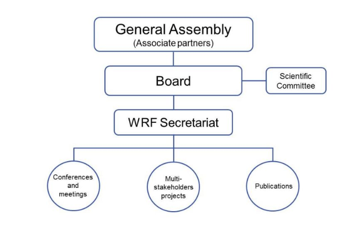 File:Organisational Structure World Resources Forum.png