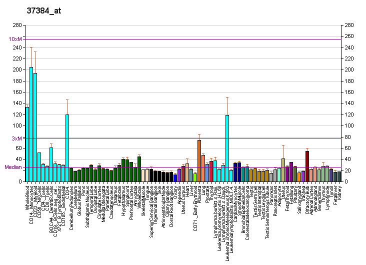 File:PBB GE PPM1F 37384 at fs.png