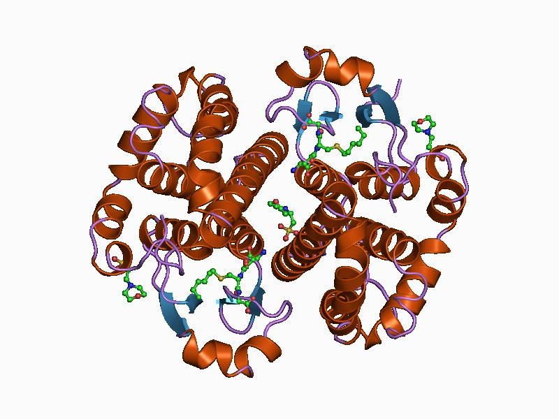 File:PDB 17gs EBI.jpg