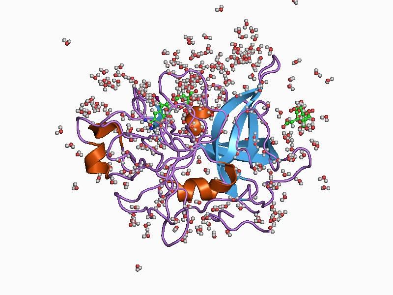 File:PDB 1c5w EBI.jpg