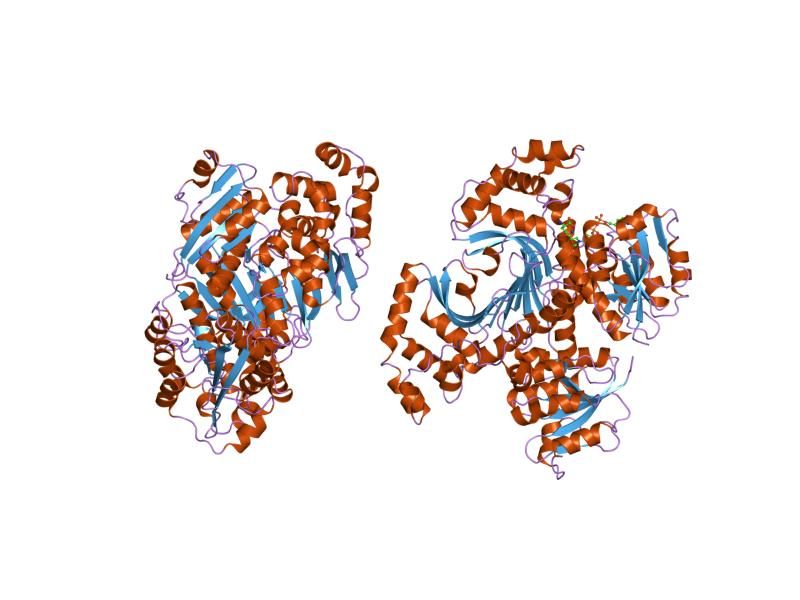 File:PDB 1ebu EBI.jpg