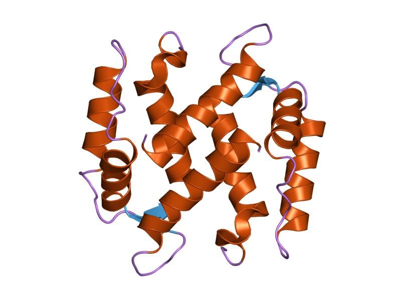 File:PDB 1kso EBI.jpg