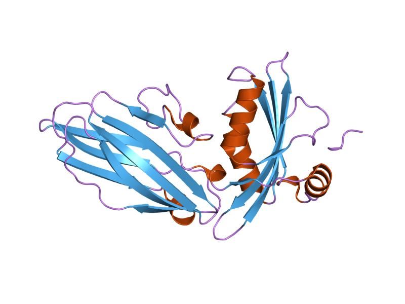 File:PDB 1kyf EBI.jpg