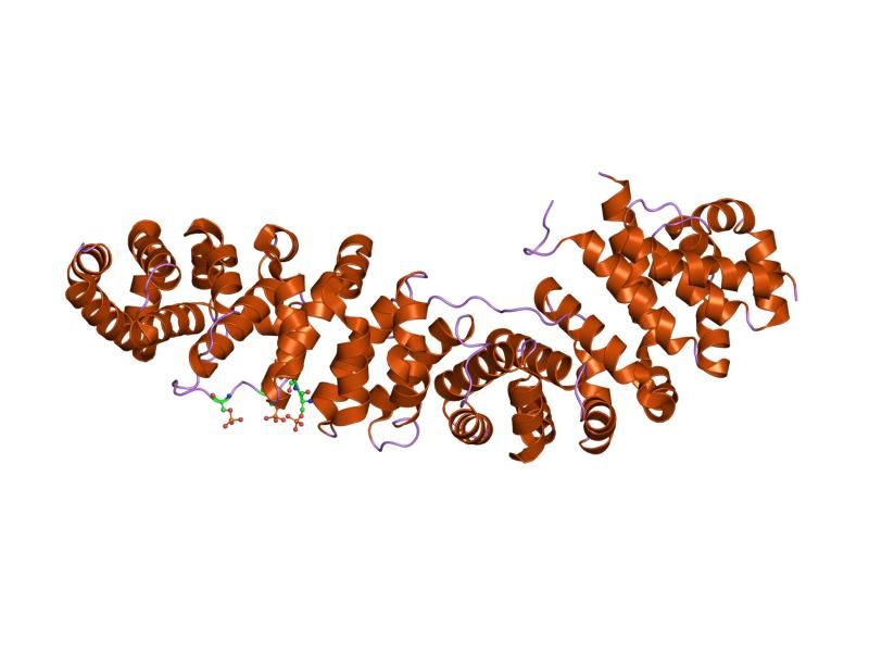 File:PDB 1v18 EBI.jpg