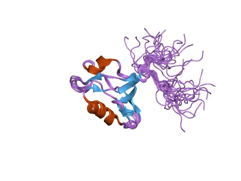 File:PDB 1wfv EBI.jpg