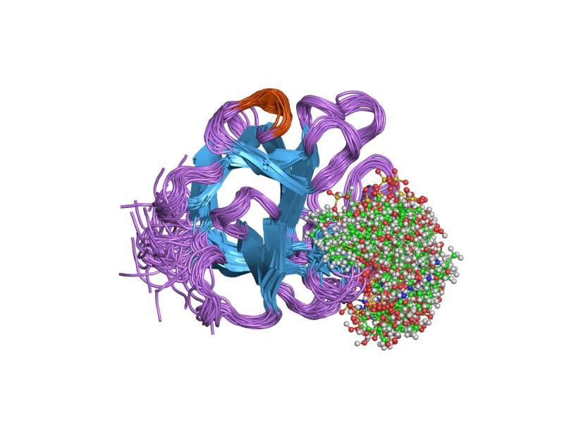 File:PDB 2erm EBI.jpg