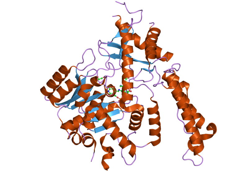 File:PDB 2okk EBI.png