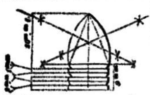 File:Tamisier cannelures.jpg