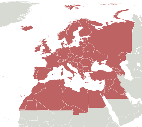 File:Western palearctic.png