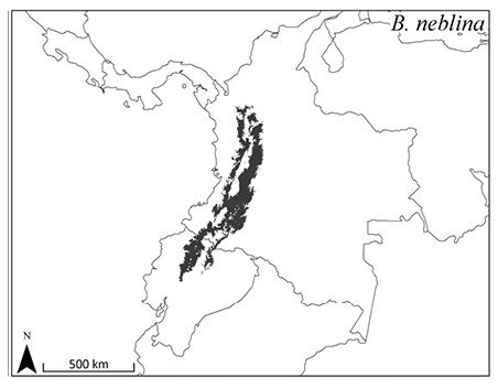 File:ZooKeys-distribution of B. neblina.jpg