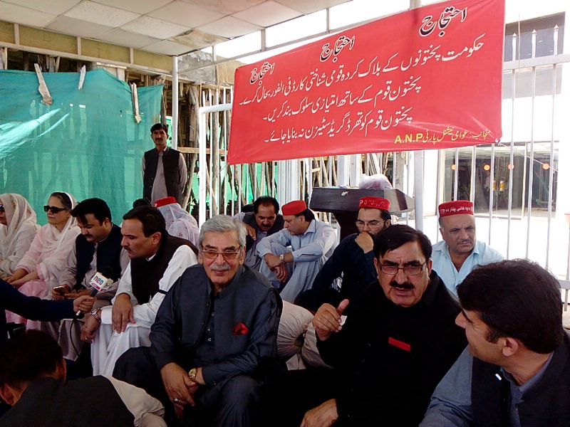 File:ANP official protest.jpg