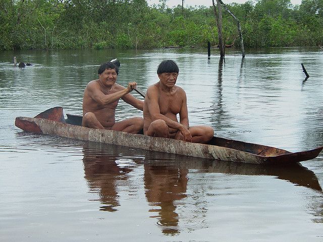 File:Kalapalo men canoeing.jpg