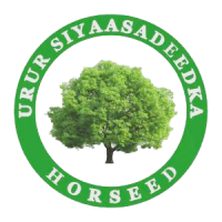 File:Logo of Horseed.png