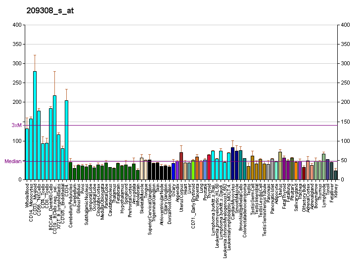 File:PBB GE BNIP2 209308 s at fs.png