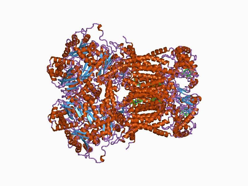 File:PDB 1bgy EBI.jpg