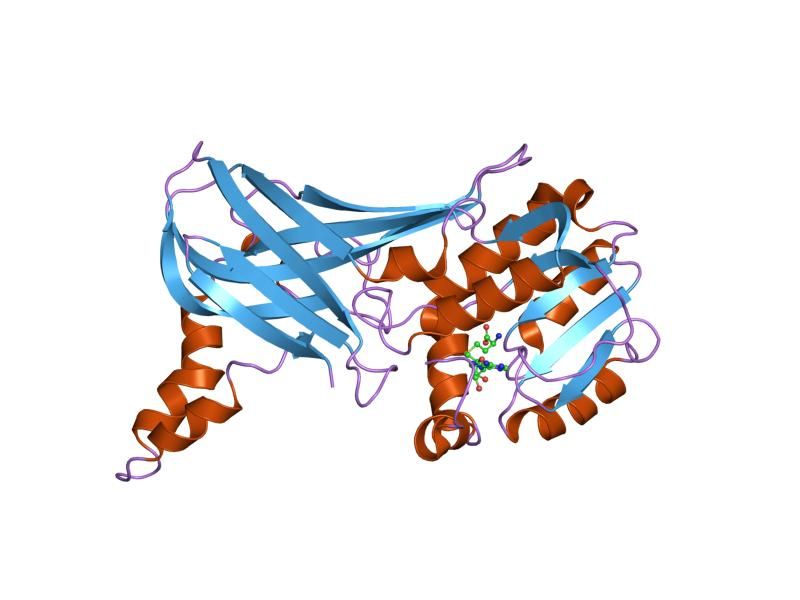 File:PDB 1f3l EBI.jpg