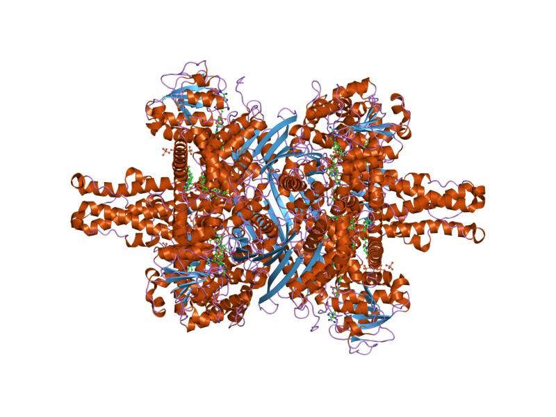 File:PDB 1hwy EBI.jpg