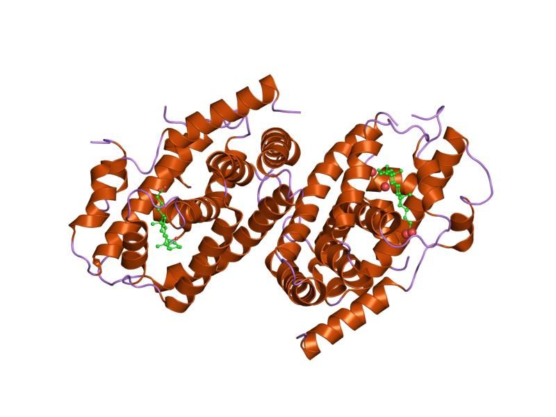 File:PDB 1ot7 EBI.jpg