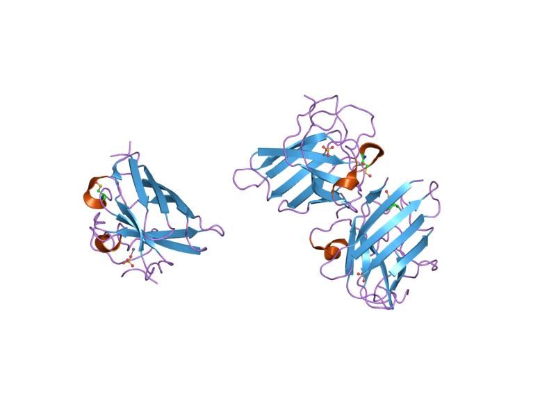 File:PDB 1p1v EBI.jpg