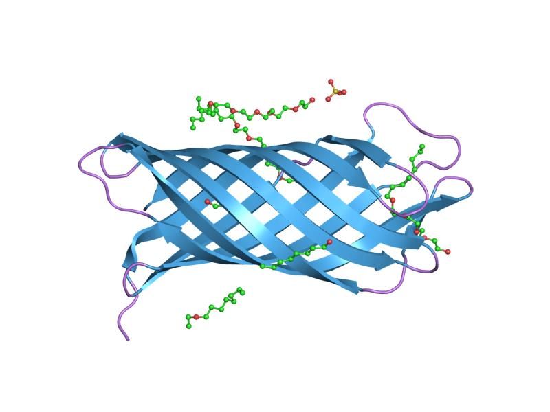 File:PDB 1p4t EBI.jpg