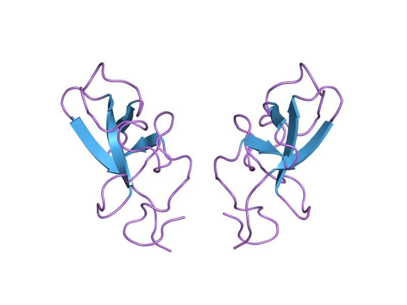 File:PDB 1pmk EBI.jpg