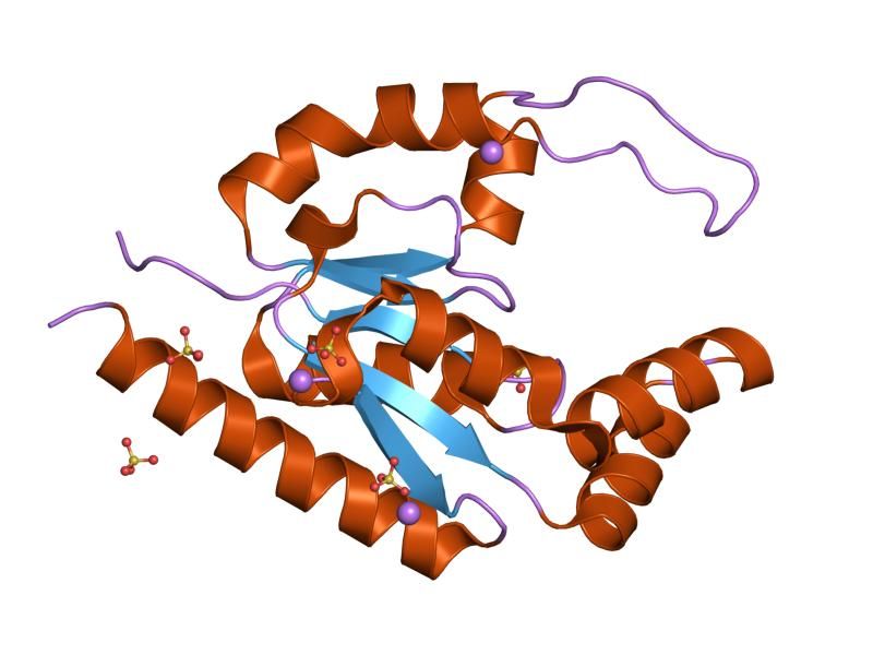 File:PDB 1rkb EBI.jpg