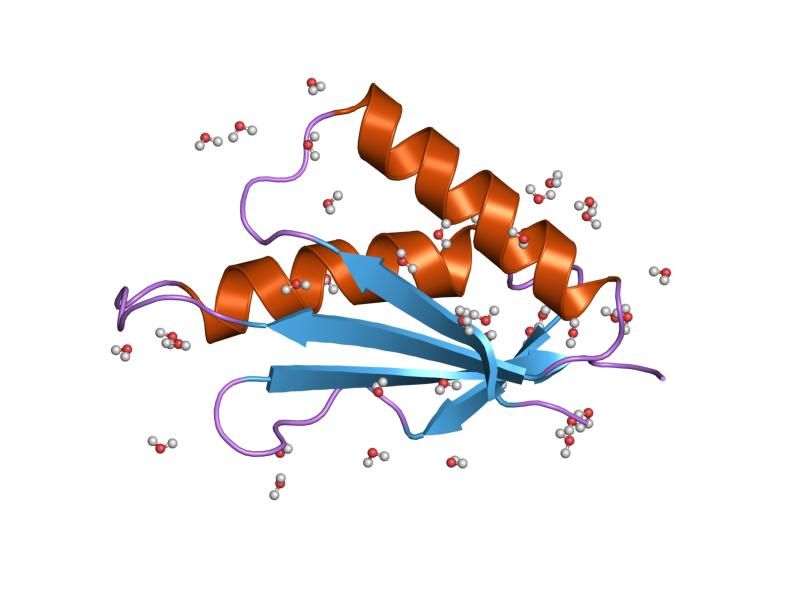 File:PDB 1tig EBI.jpg