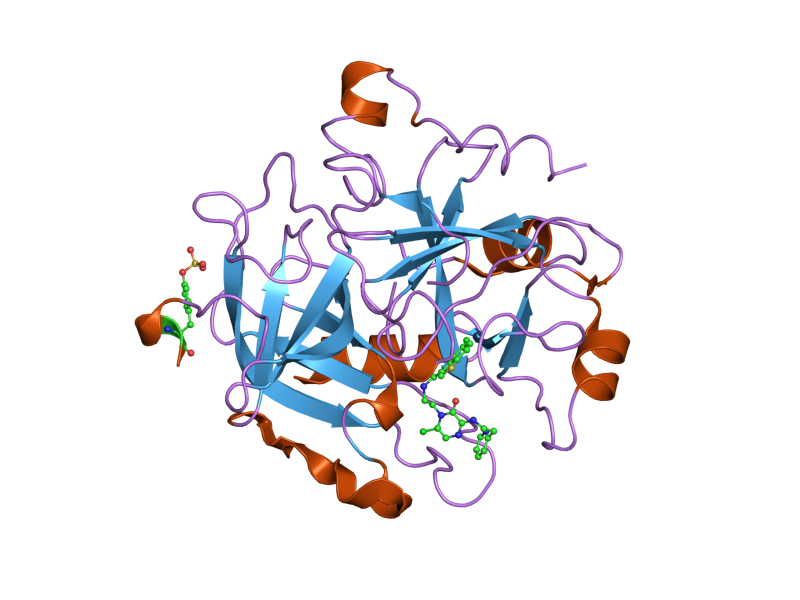 File:PDB 2bxt EBI.png