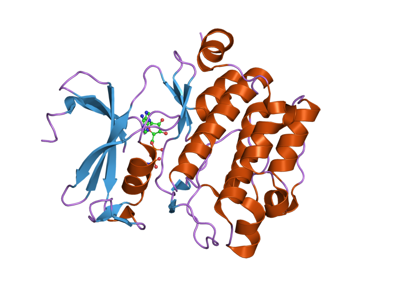 File:PDB 2bzk EBI.png