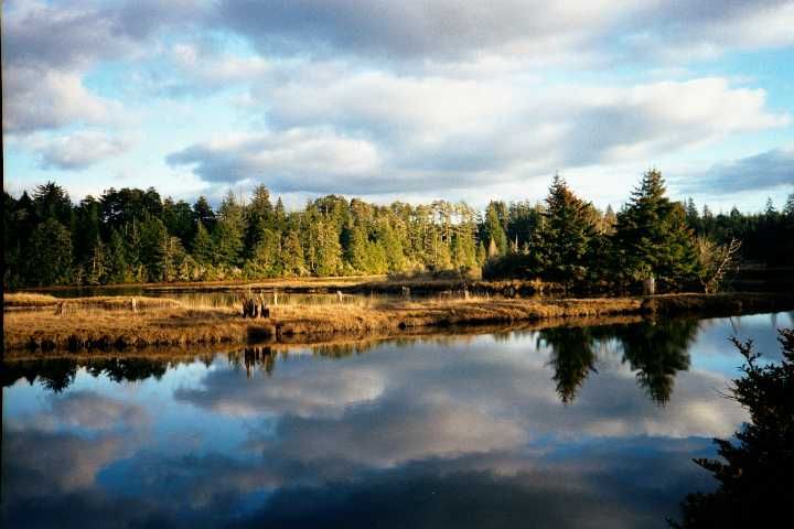 File:South Slough NERR - Oregon.jpg