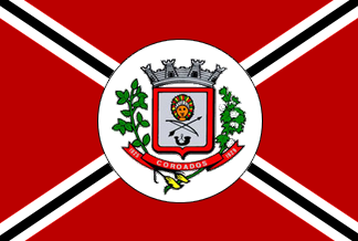 File:Bandeira Coroados.png