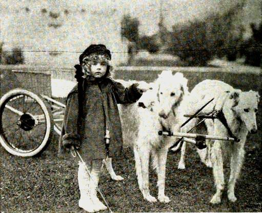 File:Betsy Ann Hisle & Russian Wolfhounds.jpg