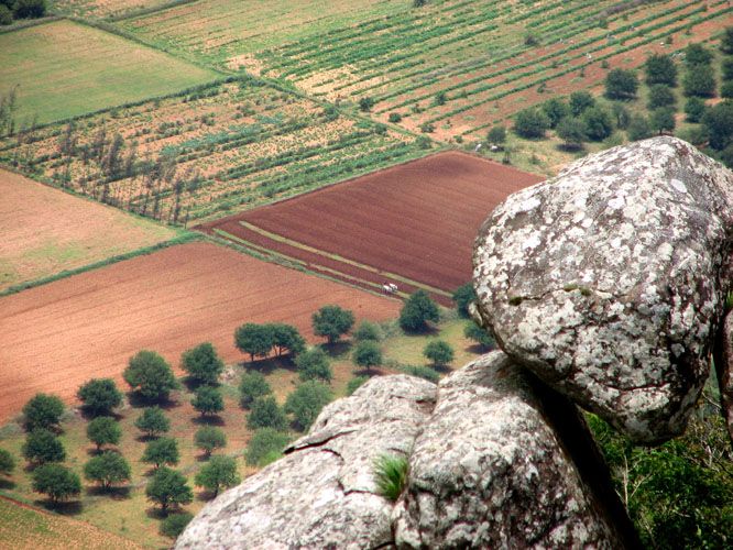 File:Farms Tamil Nadu India.jpg