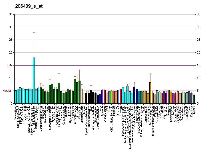 File:PBB GE DLGAP1 206489 s at fs.png