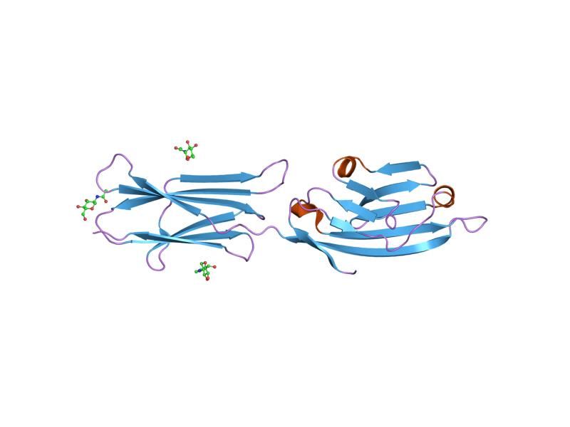 File:PDB 1dr9 EBI.jpg