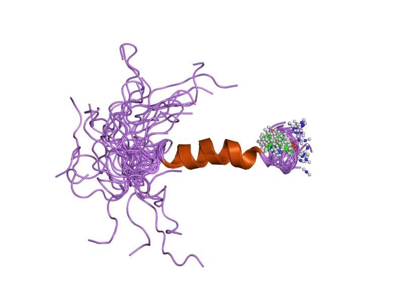 File:PDB 1fvn EBI.jpg