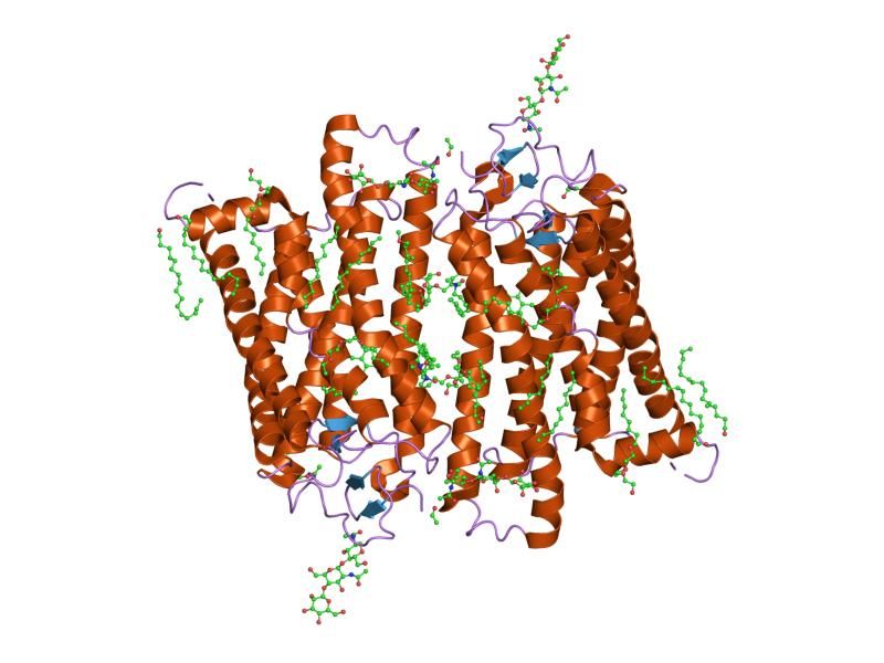 File:PDB 1gzm EBI.jpg