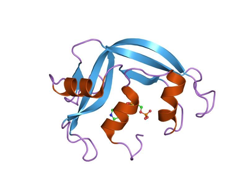 File:PDB 1h1h EBI.jpg