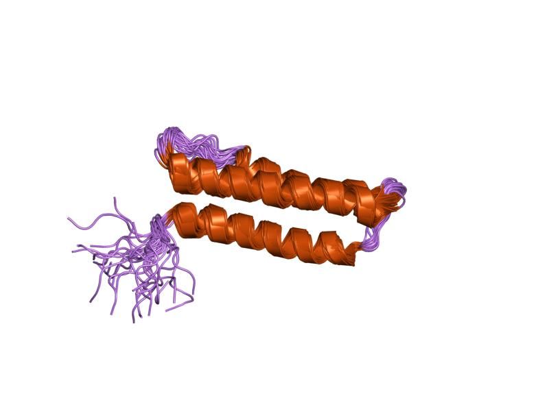 File:PDB 1m62 EBI.jpg