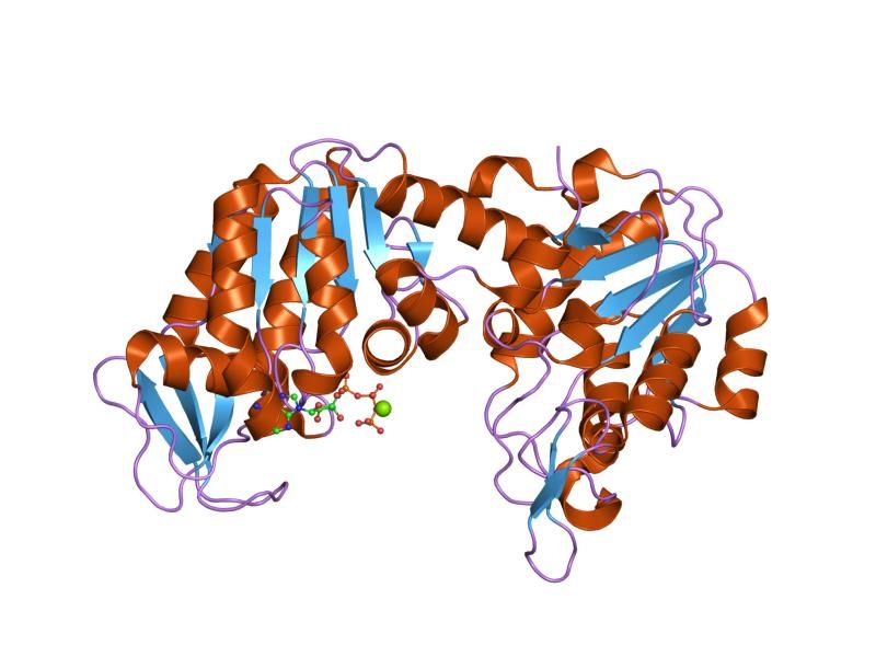 File:PDB 1vjc EBI.jpg