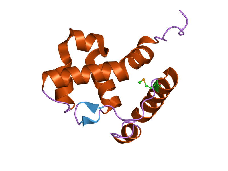 File:PDB 2cxy EBI.png