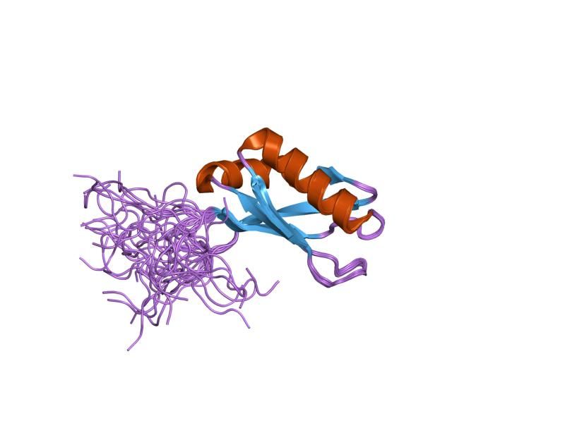 File:PDB 2dgx EBI.jpg