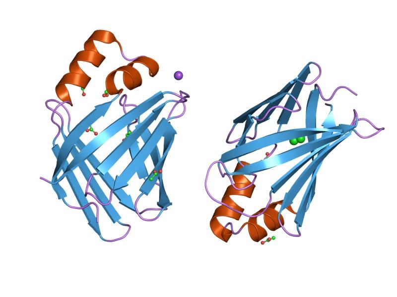 File:PDB 2fs6 EBI.jpg