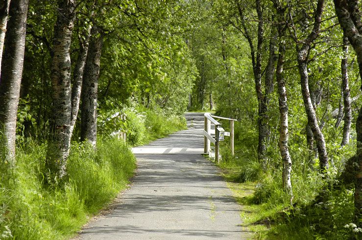 File:Prestvannet-parkvei.jpg