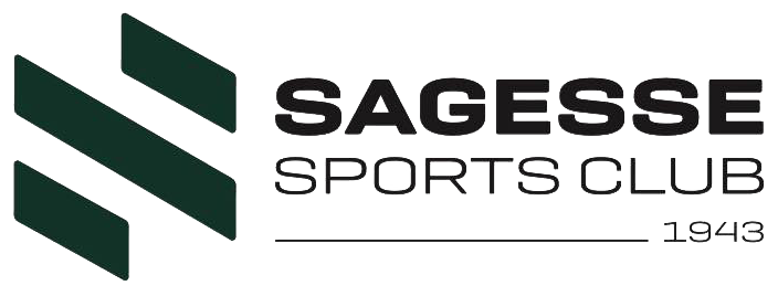 File:Sagesse SC New Logo.png