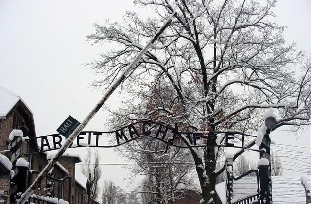 File:Auschwitz-Work Set Free.jpg