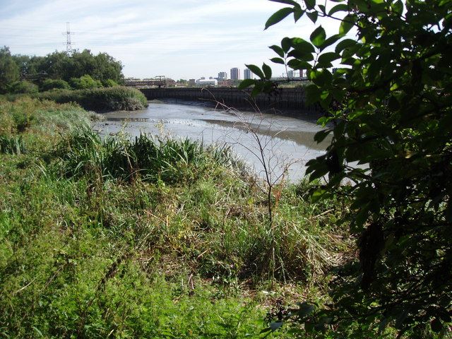 File:Channelsea River - geograph.org.uk - 202632.jpg