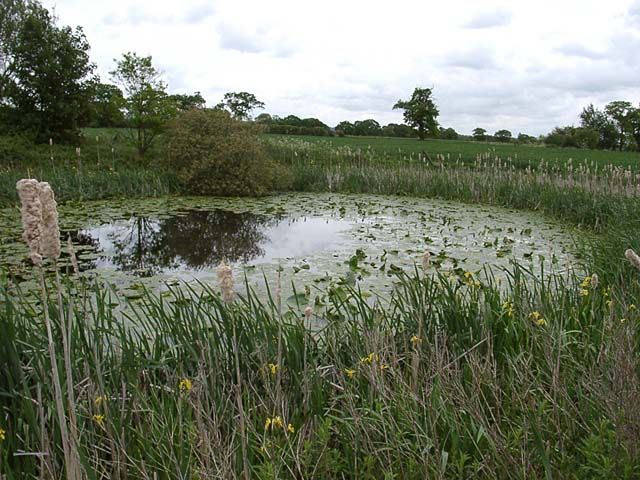 File:Churton marlpit - geograph.org.uk - 60289.jpg